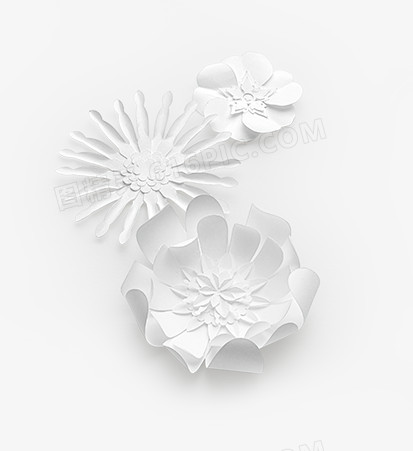 白色花瓣背景png素材
