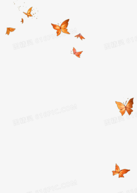 蝴蝶