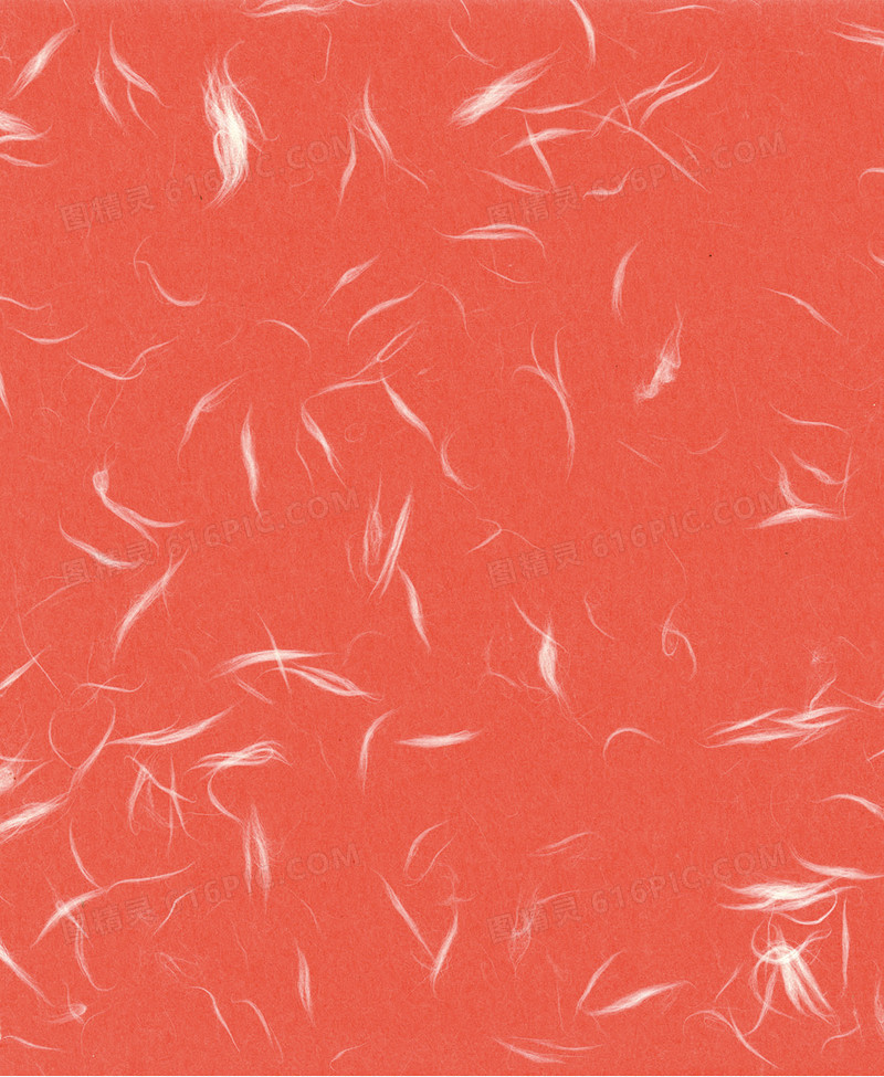 桔红色白色羽毛底纹
