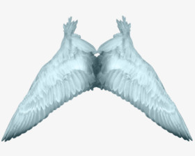 白色天使翅膀PNG透明背景素材