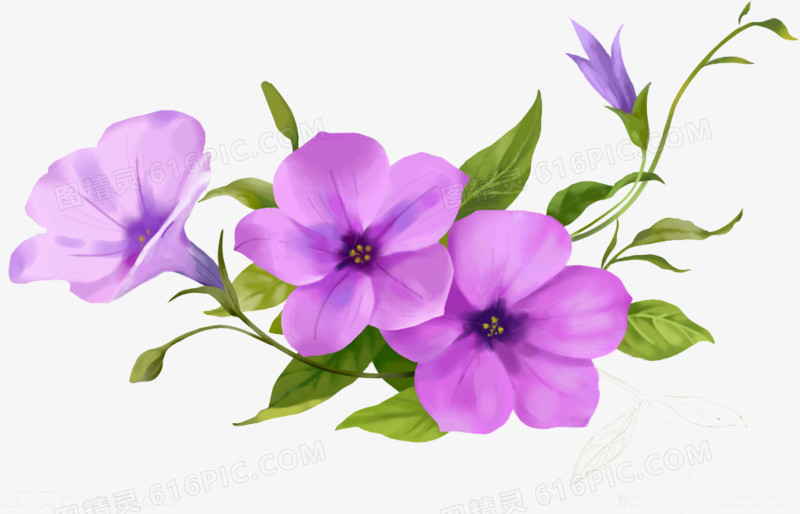紫色唯美花朵花藤