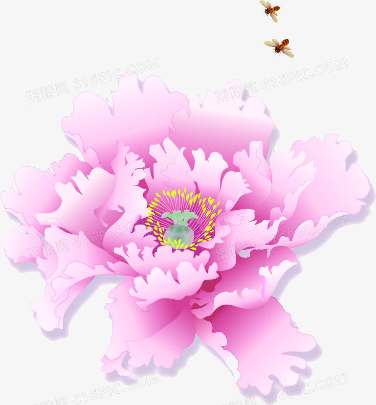 合成创意效果粉红色的花卉植物