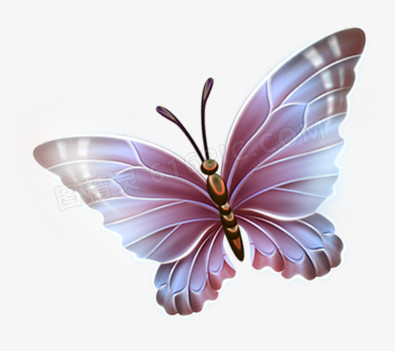 紫色大翅膀蝴蝶