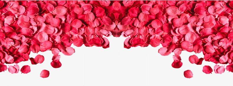 红色梦幻玫瑰花瓣装饰