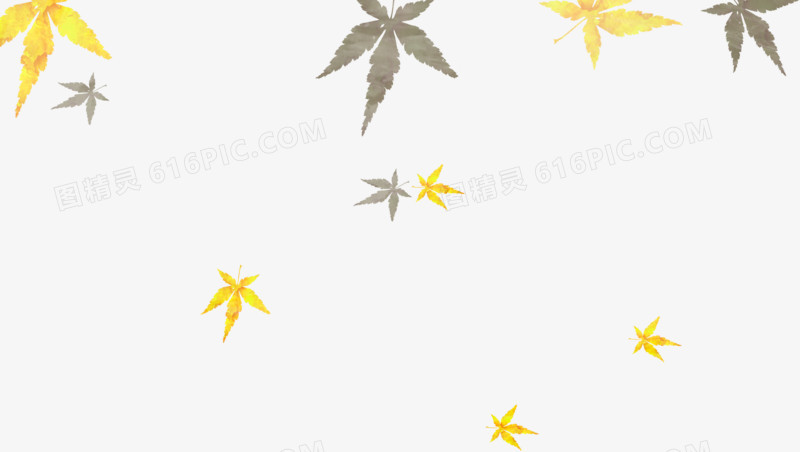 手绘灰黄色秋季枫叶