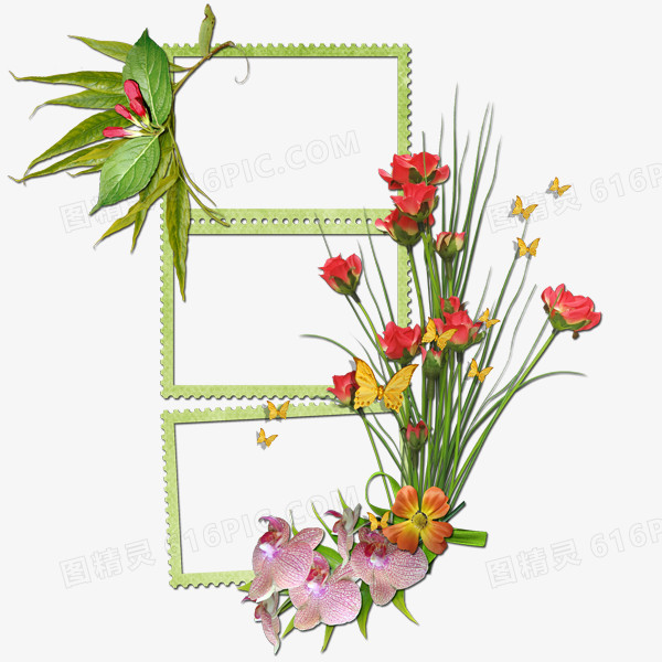 绿色花边完整边框