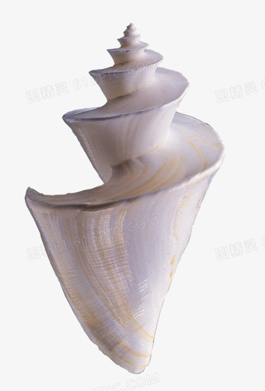 贝壳型螺旋向上PNG免抠无背景素材