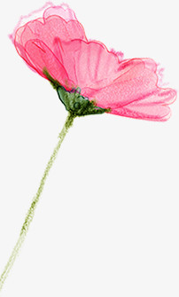 手绘粉色花朵创意背景