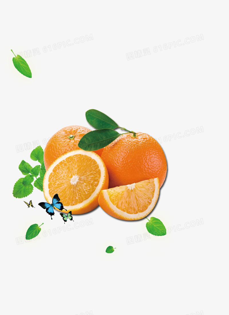 脐橙蝴蝶