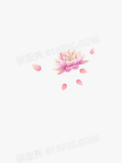 荷花免扣背景png素材