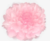 粉红色的花卉水墨风格水彩渲染