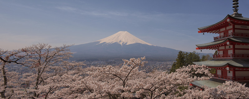 樱花富士山房屋蓝天