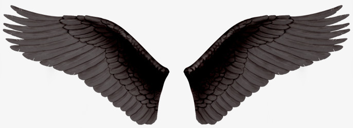 黑色翅膀素材