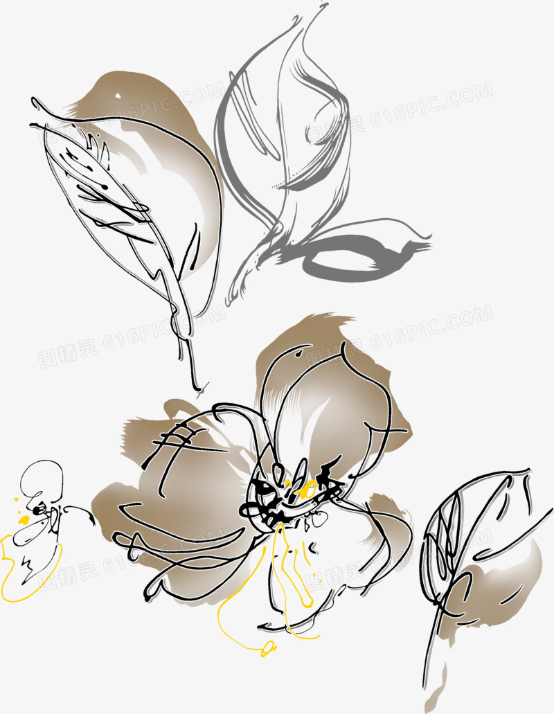 素描艺术花朵植物