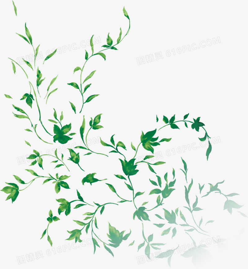 春天绿色手绘藤蔓植物装饰