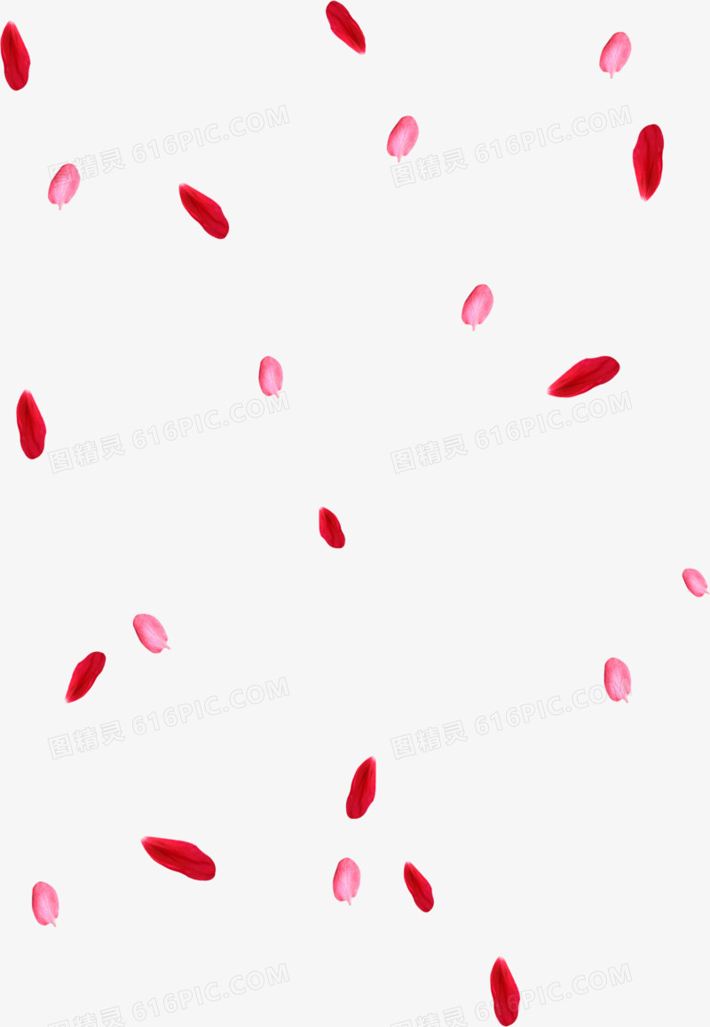 粉红色情人节漂浮花瓣装饰