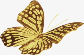 黄色创意蝴蝶设计