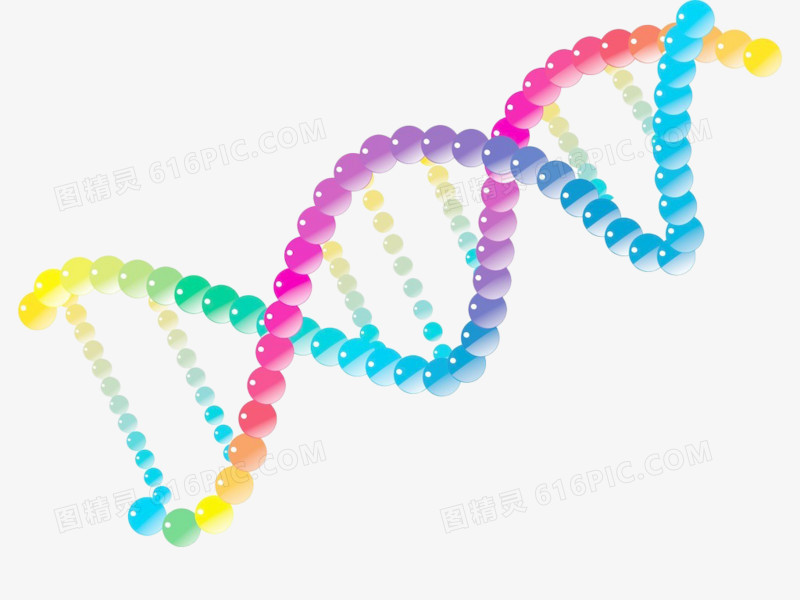 彩色DNA基因检测链