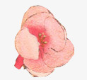 彩绘粉红色桃花