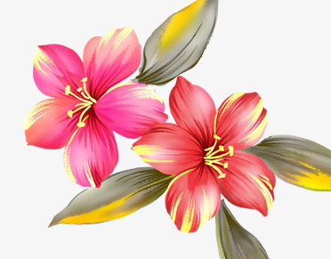 手绘粉红色花朵树叶装饰