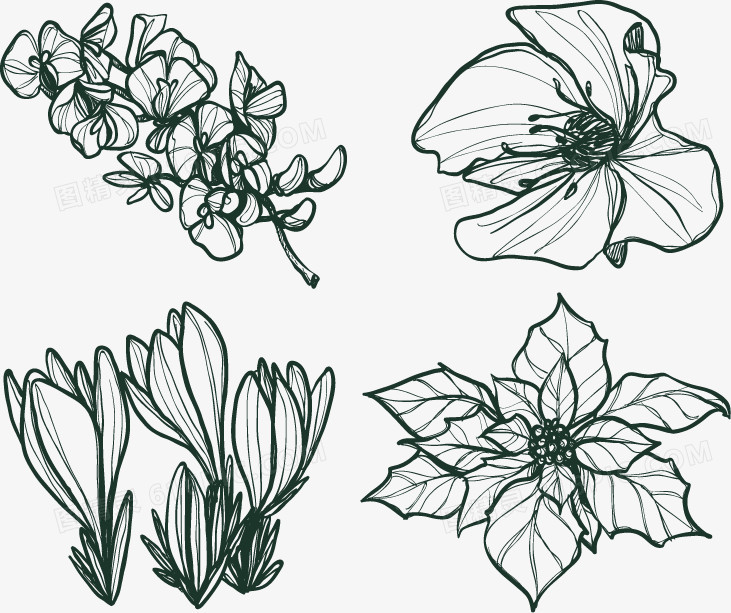 四种手绘冬季花朵图案
