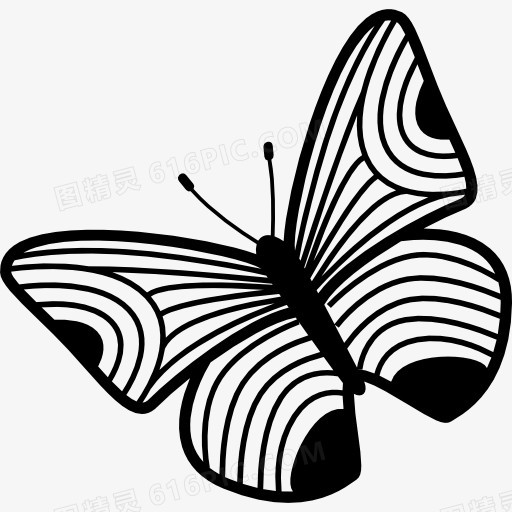 薄条纹翅膀的蝴蝶设计图标