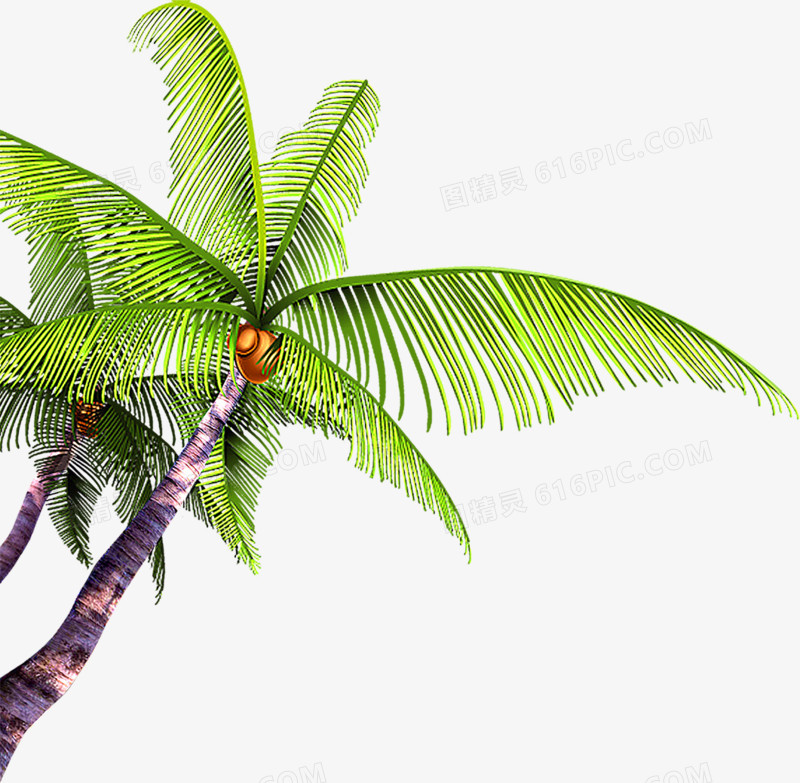 合成手绘绿色的椰子树