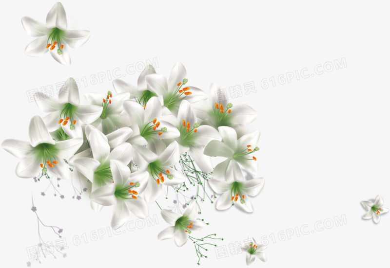 春天白色百合花束
