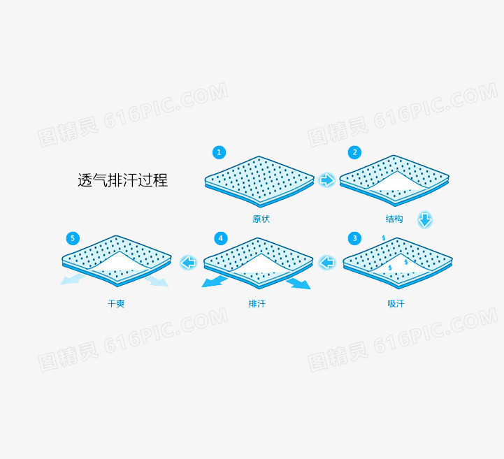 排汗过程矢量