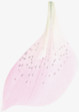 高清创意合成效果粉红色的花瓣