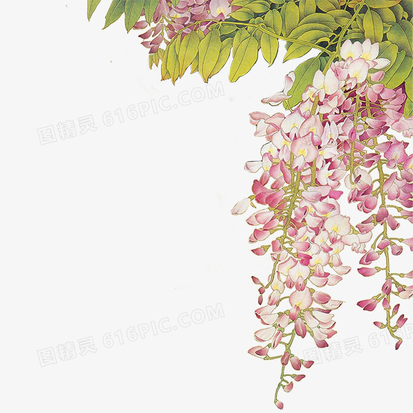 花枝