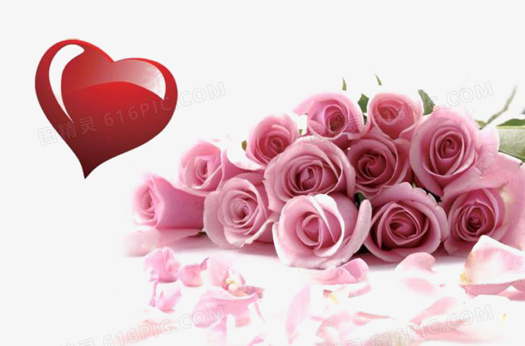 爱心粉色玫瑰