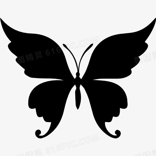 蝴蝶美丽的形状图标