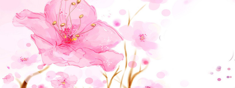 粉红花朵背景