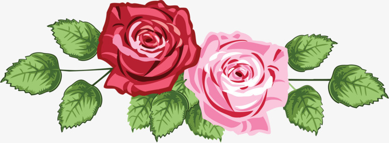 粉红色玫瑰装饰花朵