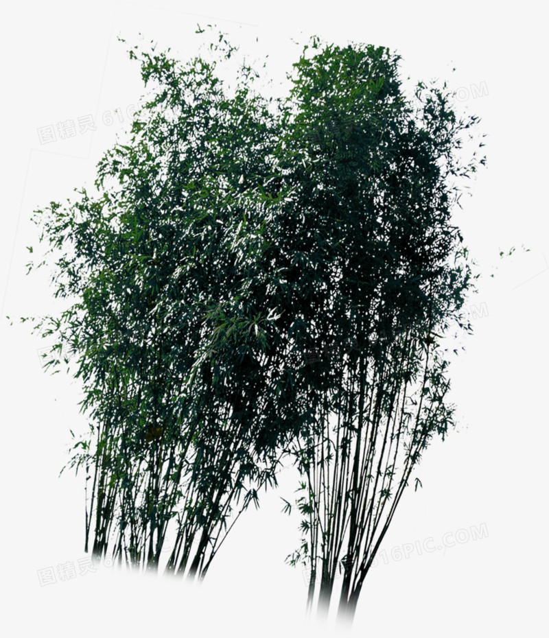 大竹子房地产广告