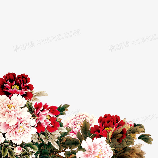 白色花朵红色花朵彩绘植物