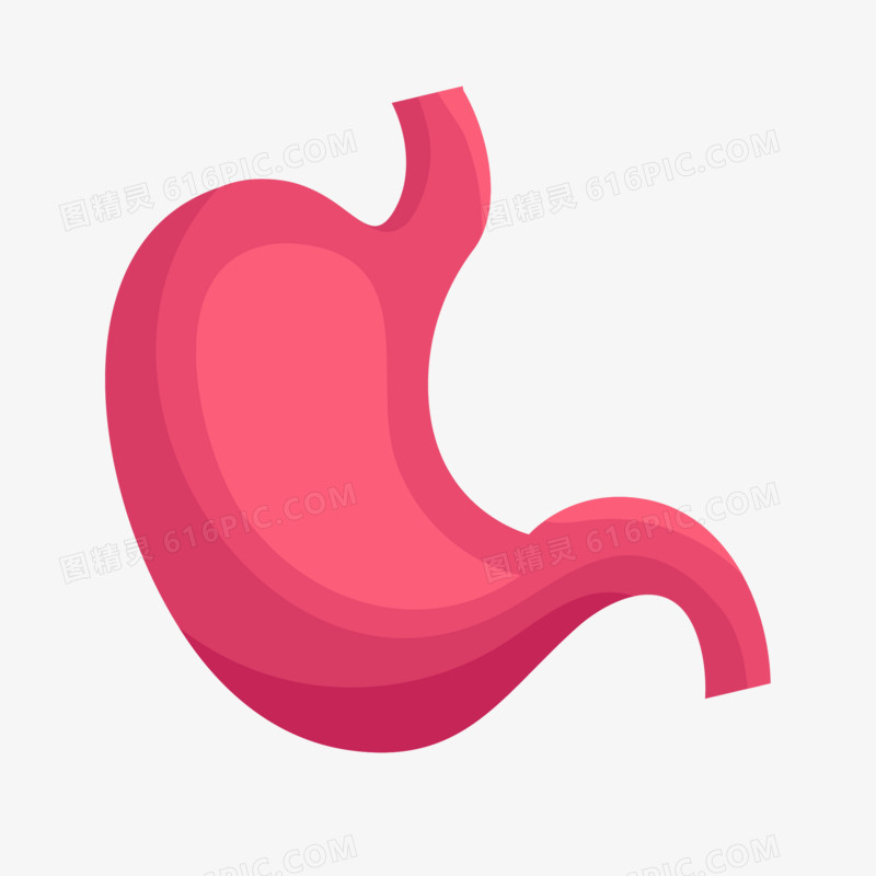 卡通矢量消化系统肠胃素材