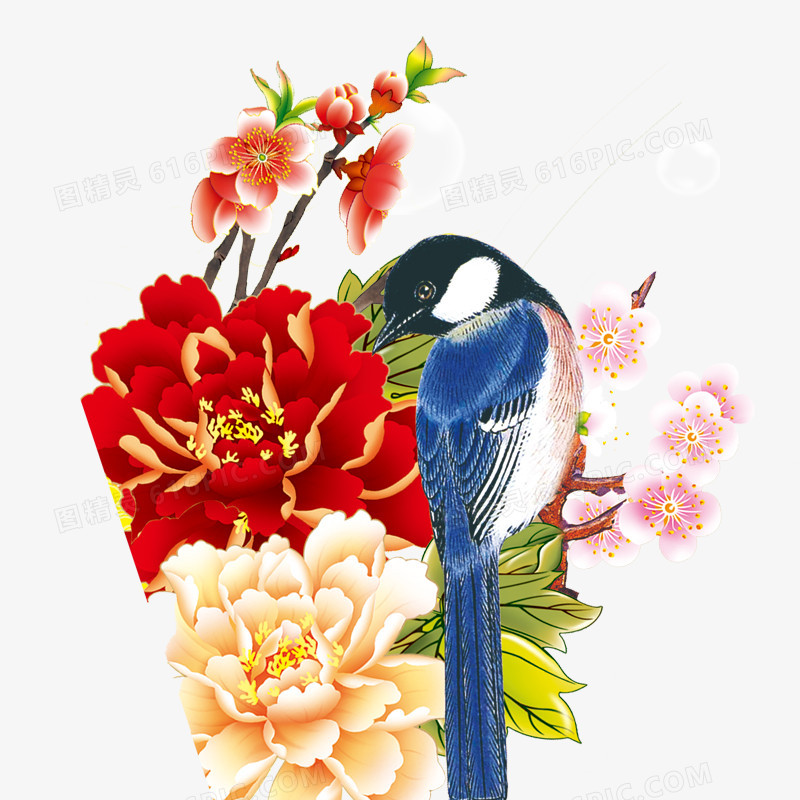 花鸟素材