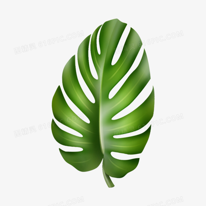 手绘插画风绿色热带植物棕榈叶免抠素材