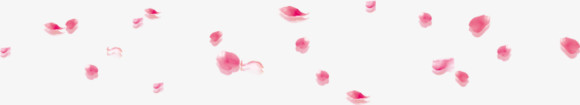 粉红色漂浮花瓣插图装饰