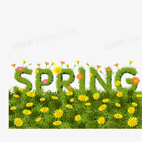 春天 spring 草地 野花