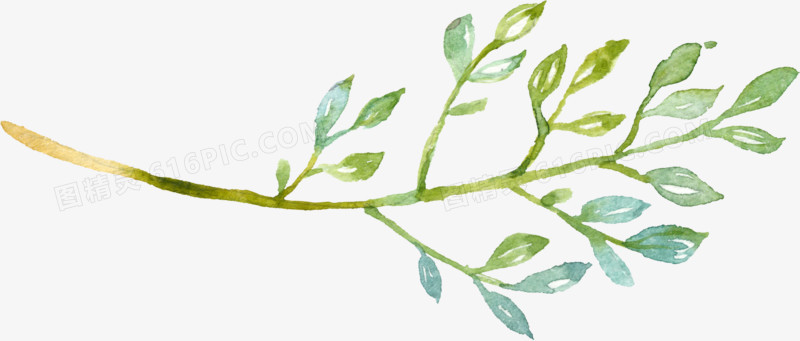 植物