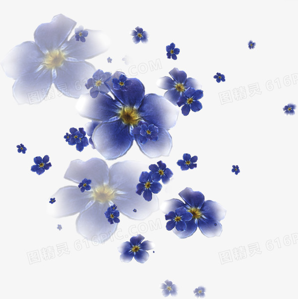 花卉