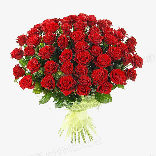 玫瑰花