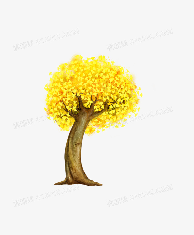 黄兴树