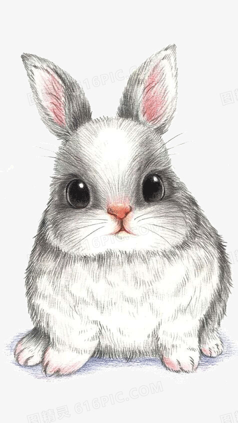 手绘可爱兔子