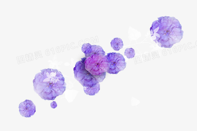 花卉