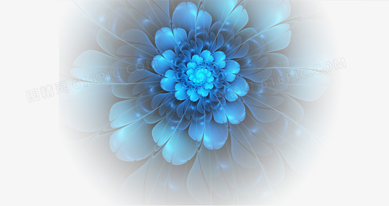 浅蓝色花朵背景