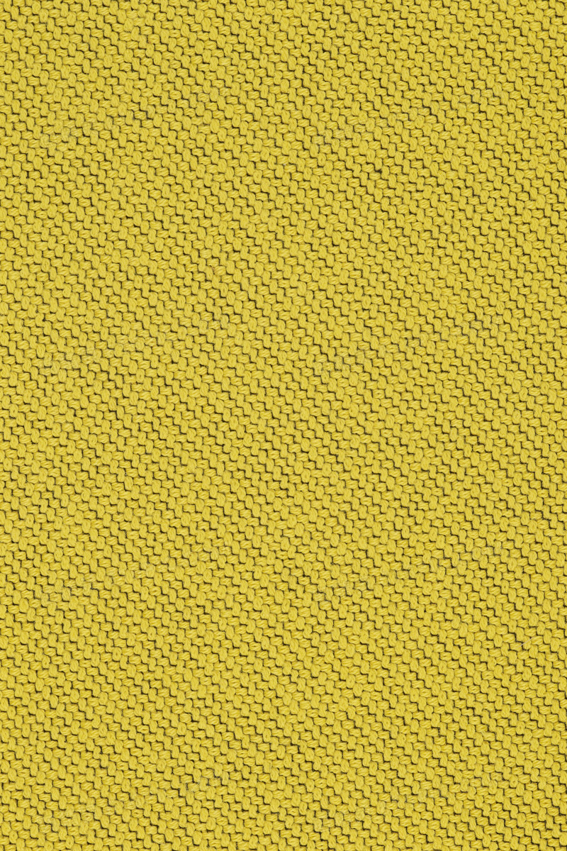 黄色颗粒密集紧凑